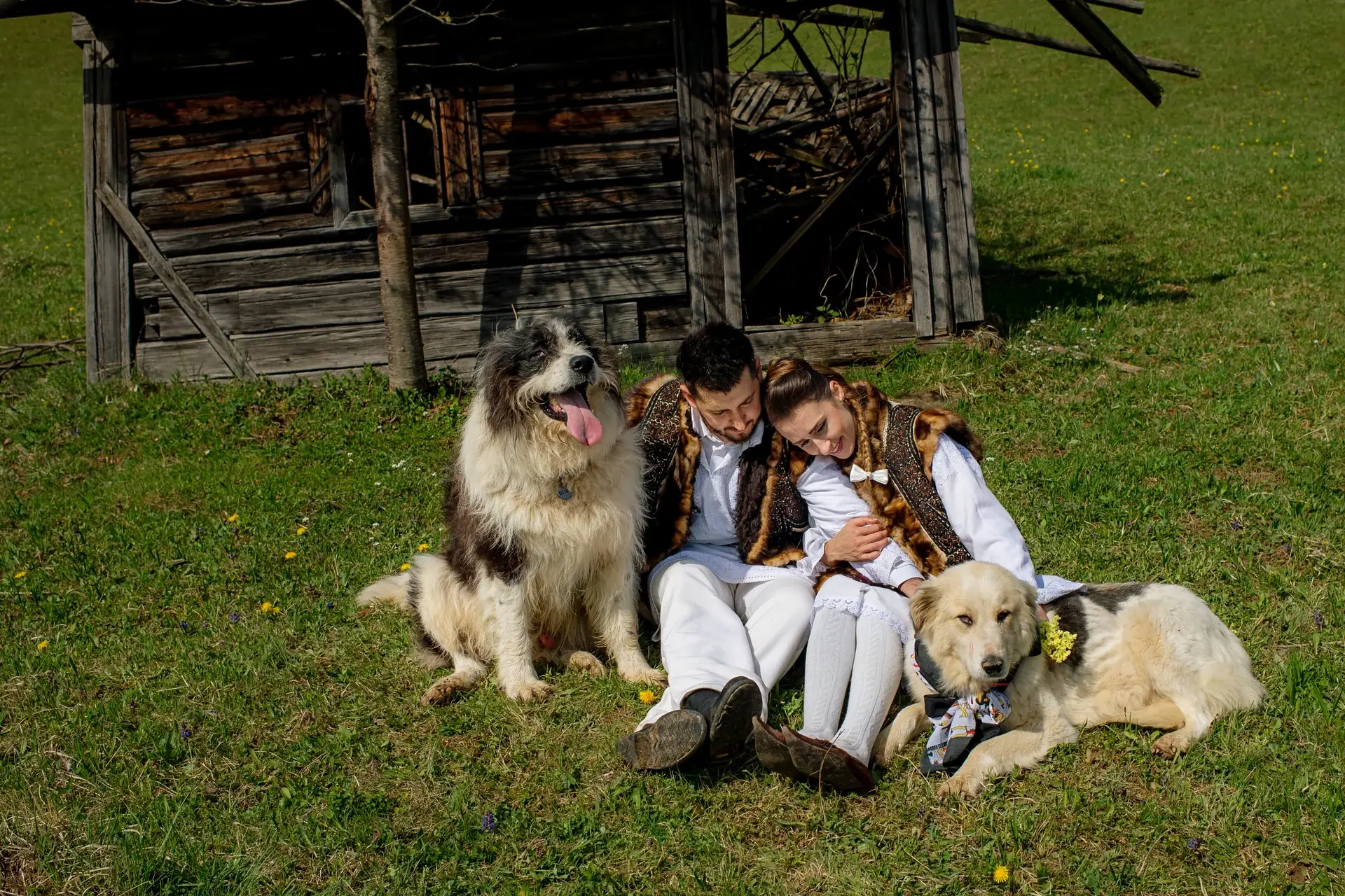 Alexandra & Mike — Câmpulung Moldovenesc · Castelul Dracula · Bucovina