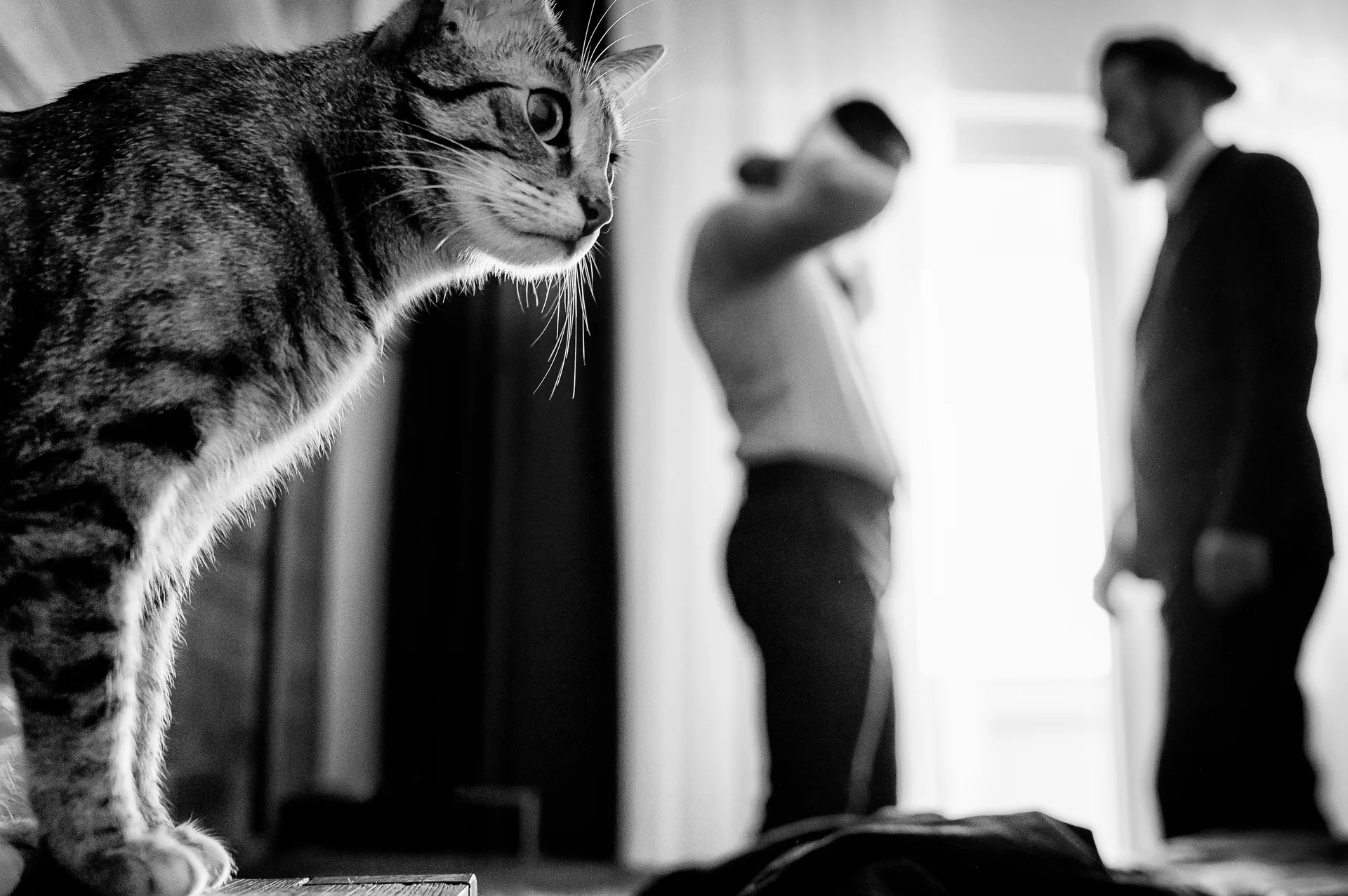 Adina & Andrei — fotograf nuntă