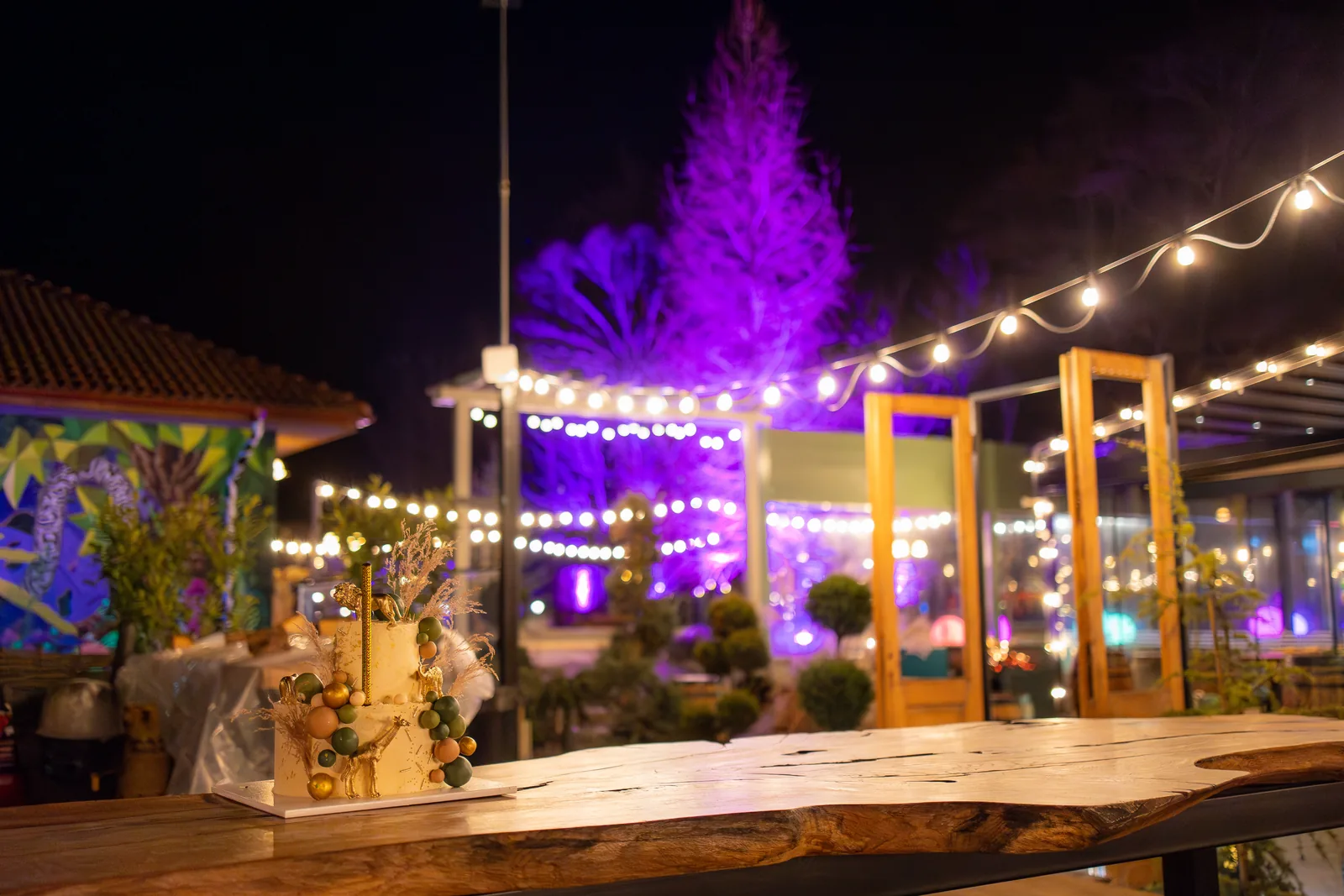 Botezul lui Alex — botez wild garden cluj alex craiu tort copac mov noaptea final — fotograf botez