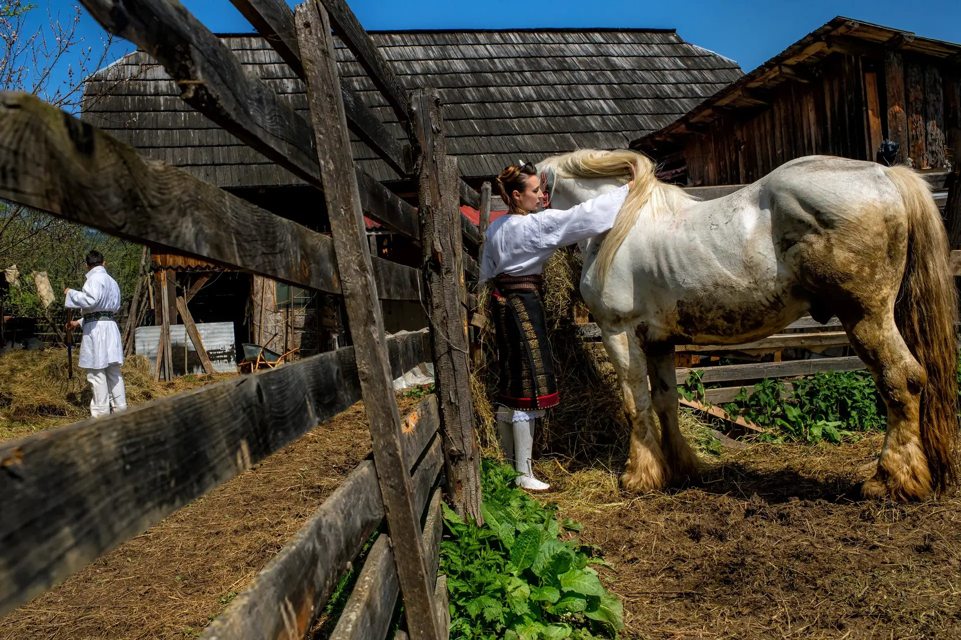 Alexandra & Mike — nunta campulung moldovenesc castelul dracula ttd campulung moldovenesc cuplu case traditionale primavara — fotograf nuntă