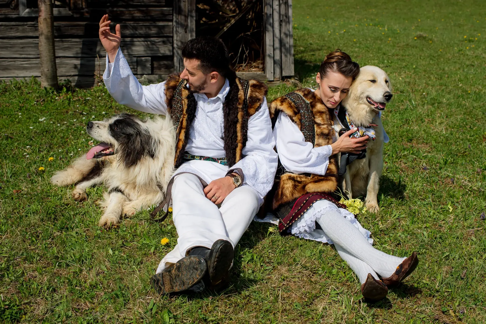Alexandra & Mike — nunta campulung moldovenesc castelul dracula ttd cuplu caine mare pastor romanesc moment tandru — fotograf nuntă