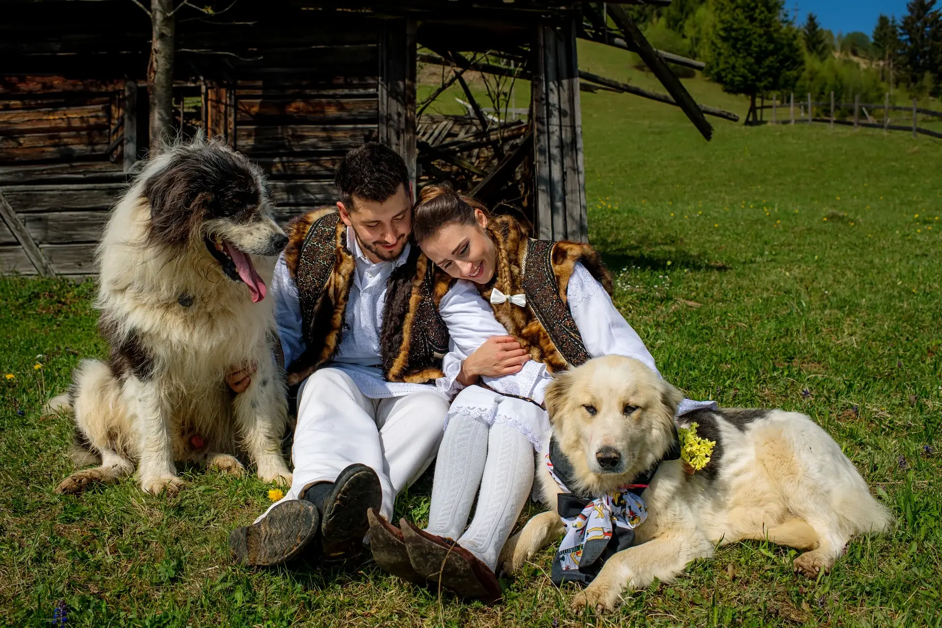 Alexandra & Mike — nunta campulung moldovenesc castelul dracula ttd miri caini casa lemn moment intim candid bucovina — fotograf nuntă