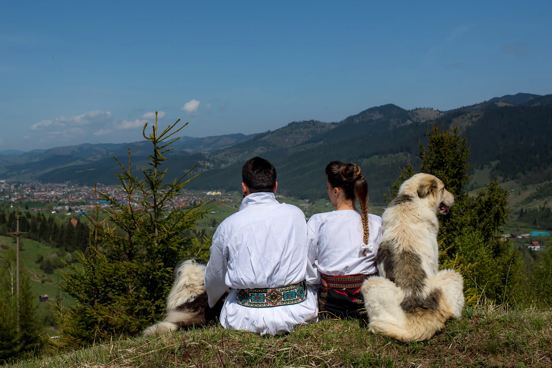 Alexandra & Mike — nunta campulung moldovenesc castelul dracula ttd cuplu sarut caine detaliu bw intim moment liniste — fotograf nuntă