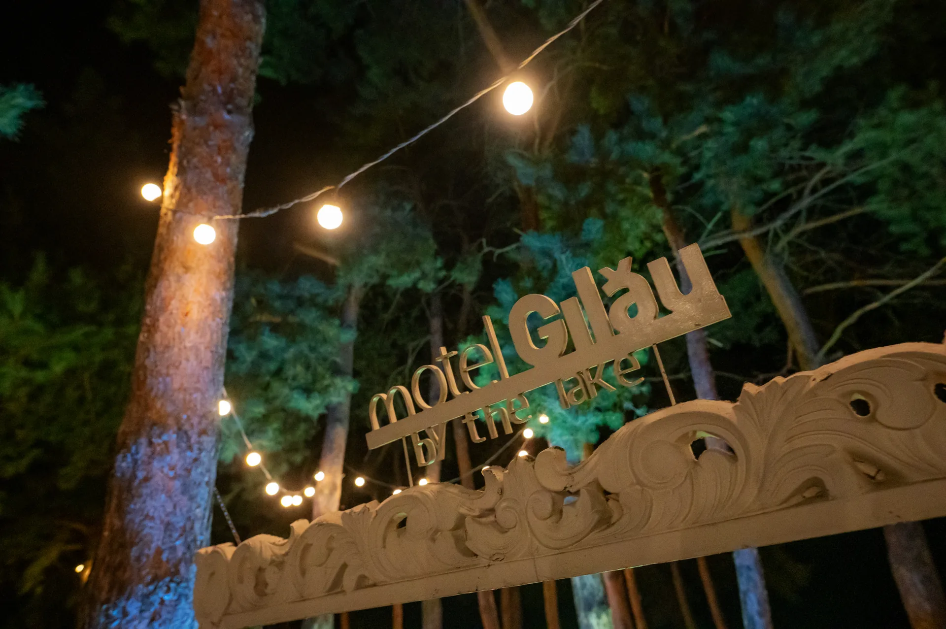 Alina & Lazăr — nunta motel gilau cluj alina lazar motel gilau inchidere string lights arbore — fotograf nuntă