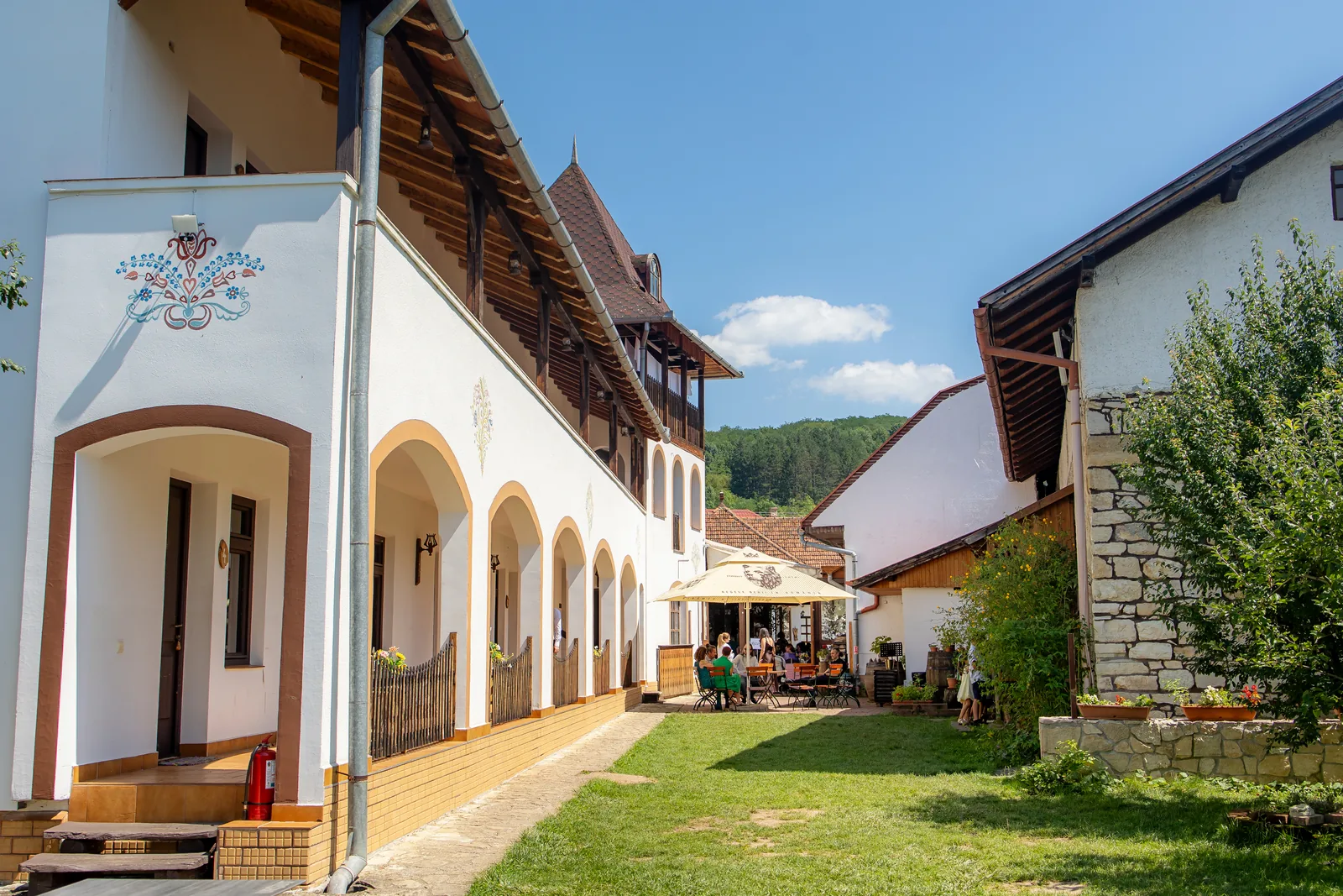 Botezul lui Aron — botez aron tamas bistro savadisla tamas bistro savadisla exterior gradina — fotograf botez