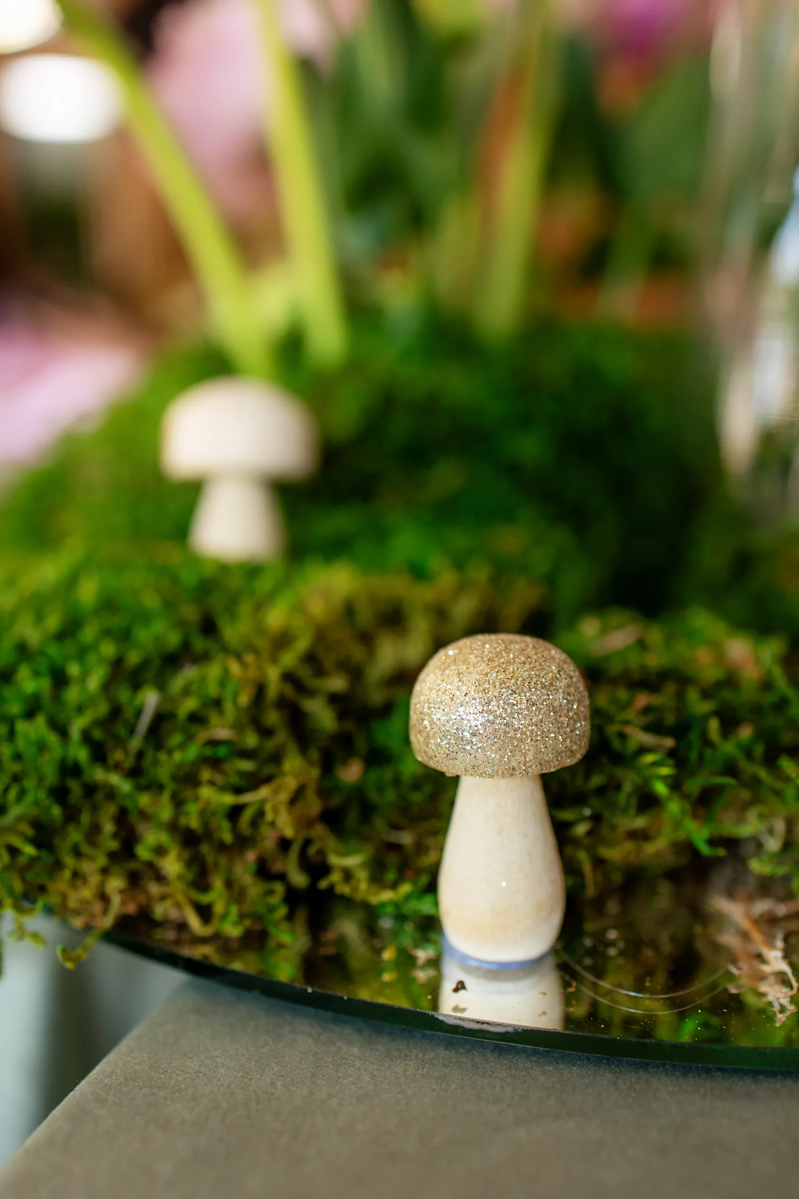 Botezul Ayanei — botez vibre ce lavie cluj ayana ciuperci musci fairy tale decor — fotograf botez