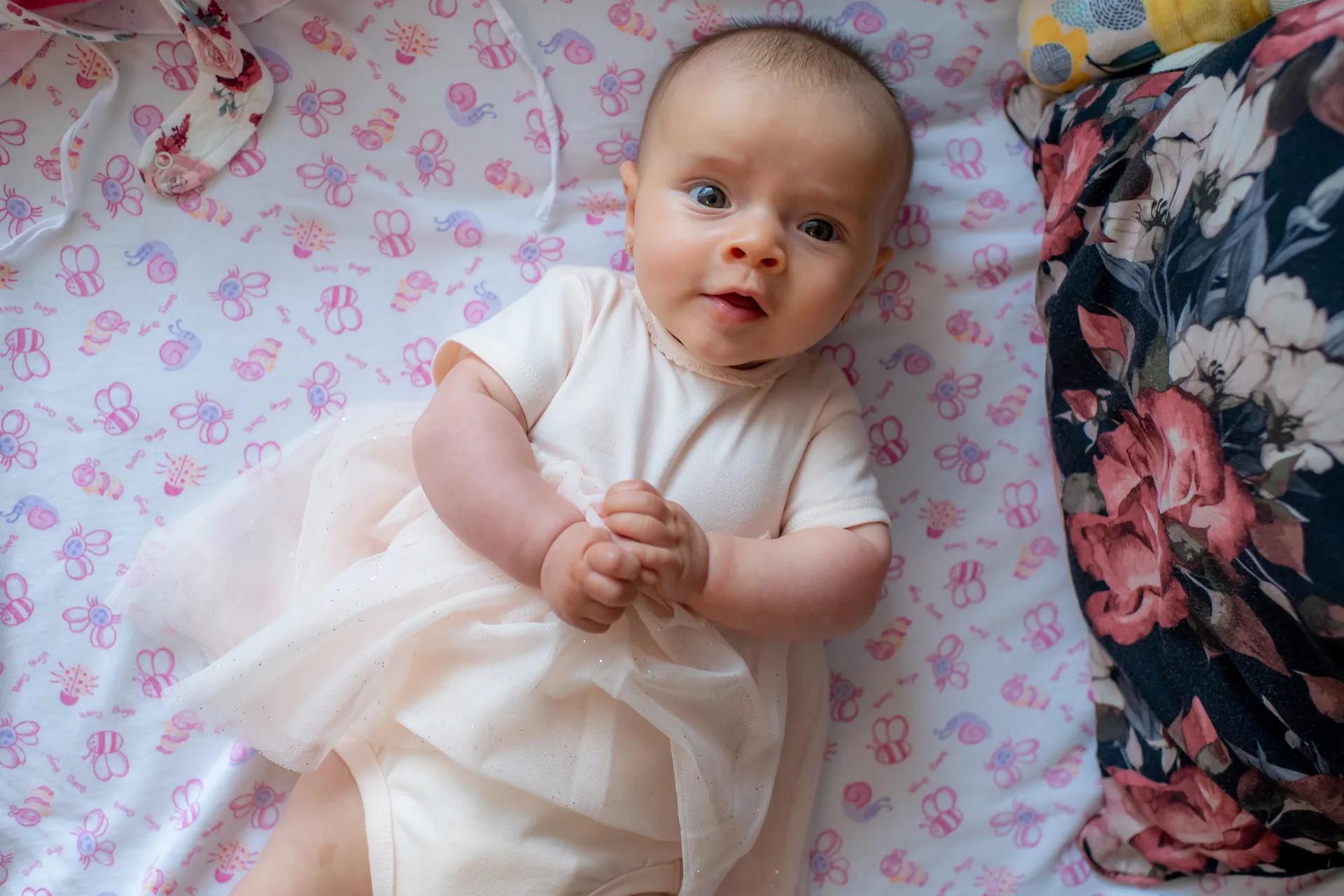 Botezul Dianei — botez diana cluj 01 — fotograf botez