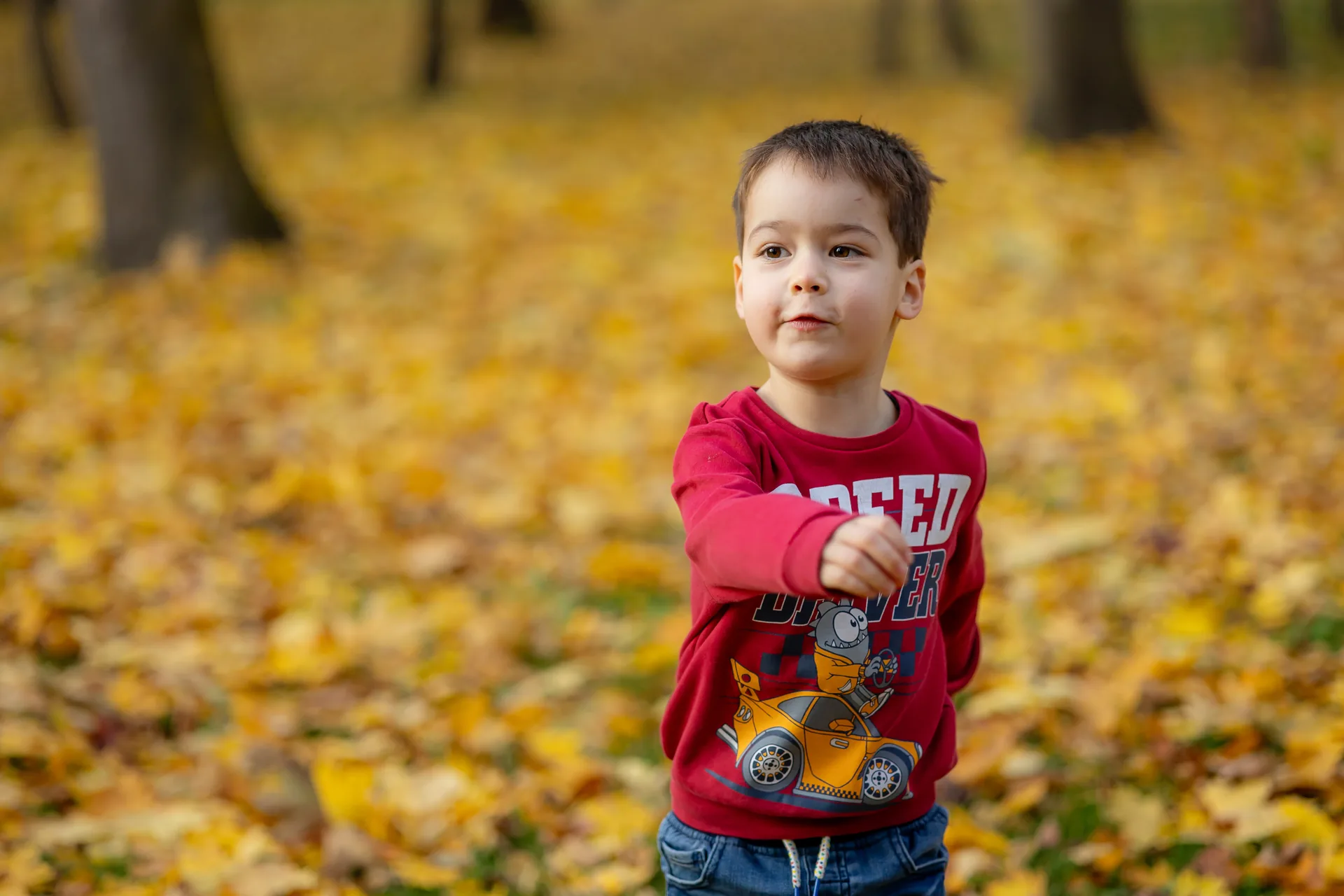 Familia Niculaș — familie niculas toamna cluj 01 — fotograf familie