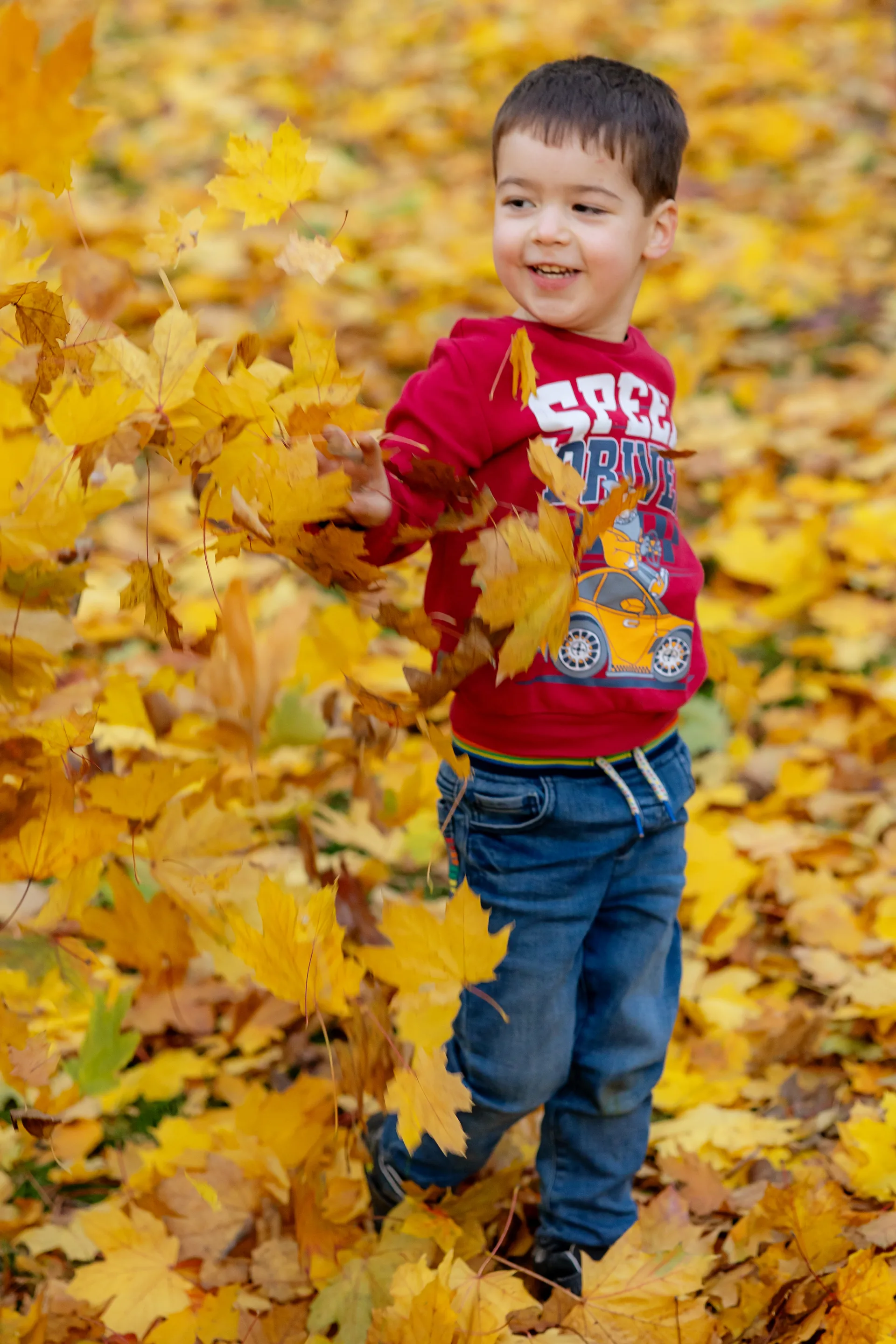 Familia Niculaș — familie niculas toamna cluj 12 — fotograf familie