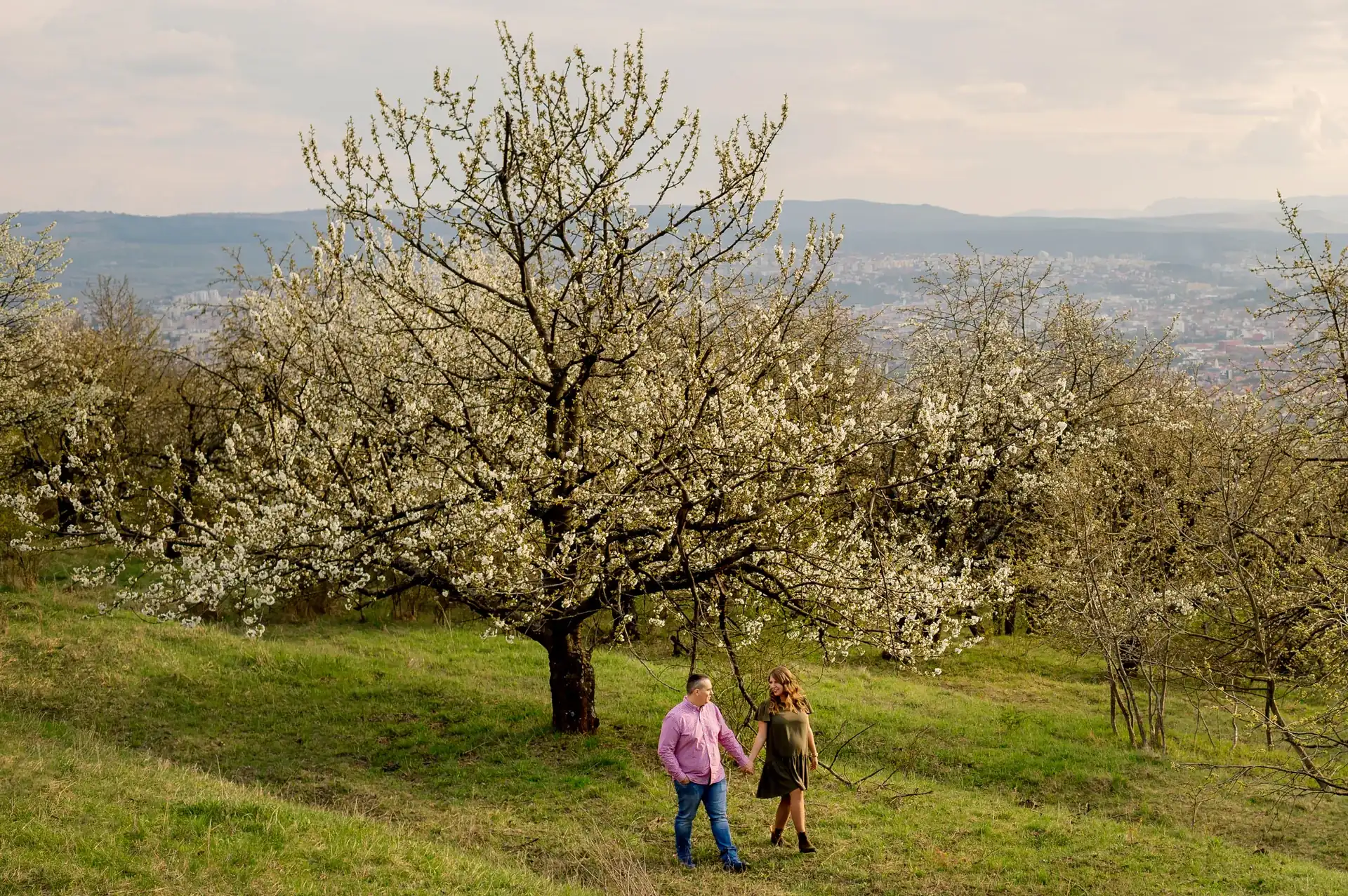 La cireși — Spring Love — familie la ciresi spring cluj 25 — fotograf familie