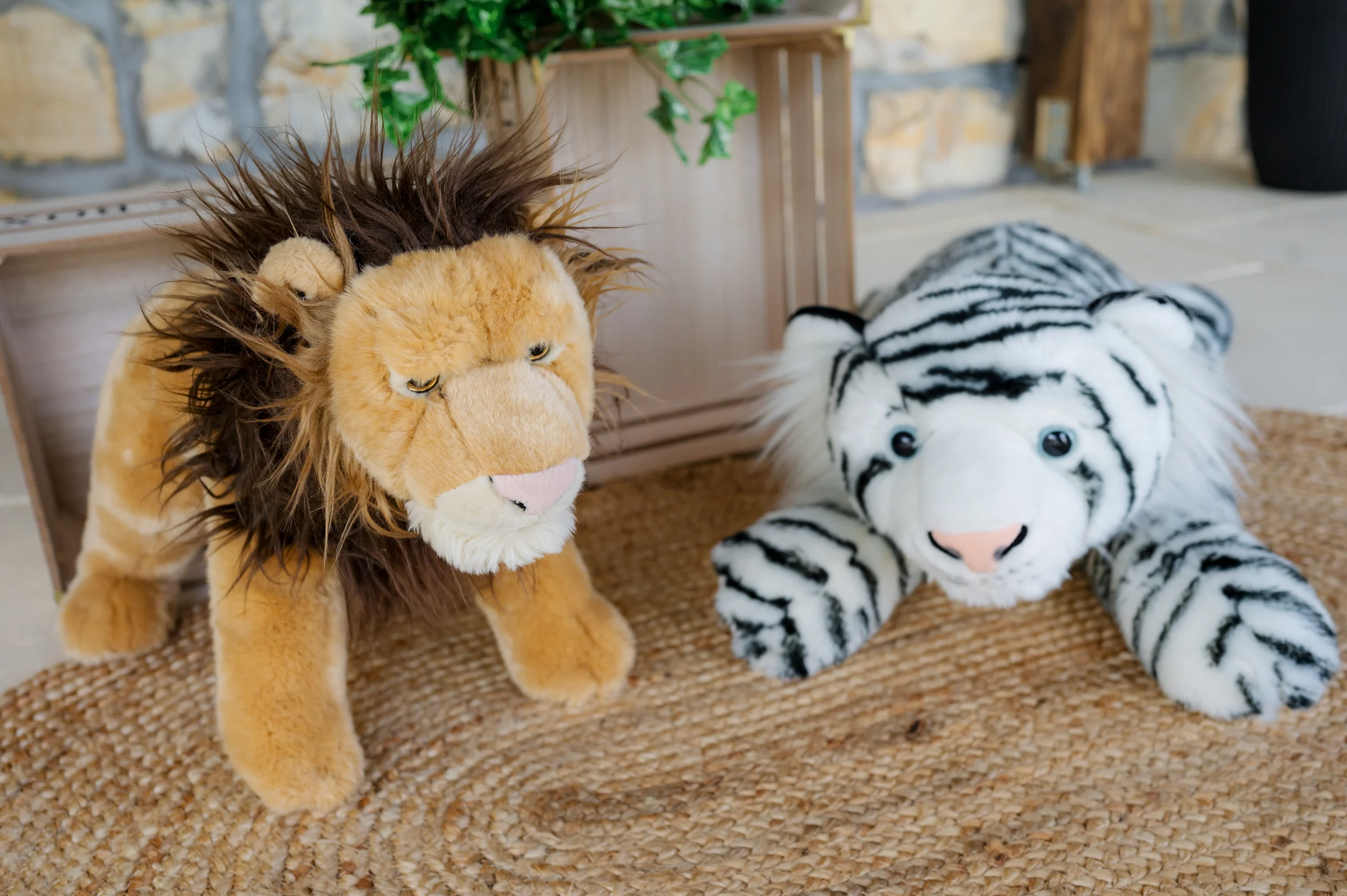 Botezul lui Leo — botez leo mosu cluj leu tigru plus decor tematica jungle — fotograf botez