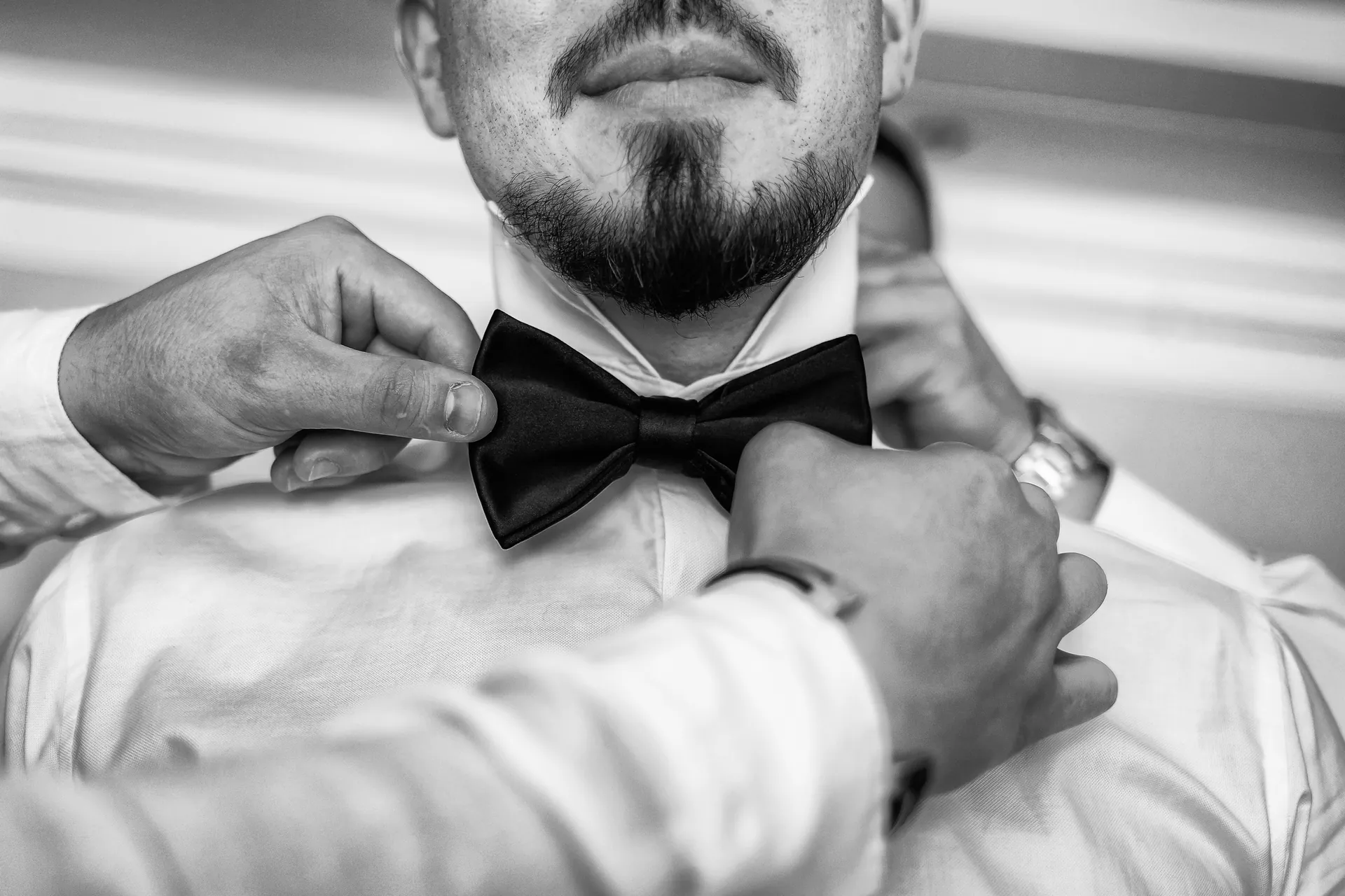 Mădălina & Bogdan — nunta elitis castel banffy cluj papilon detaliu cavaleri onoare — fotograf nuntă