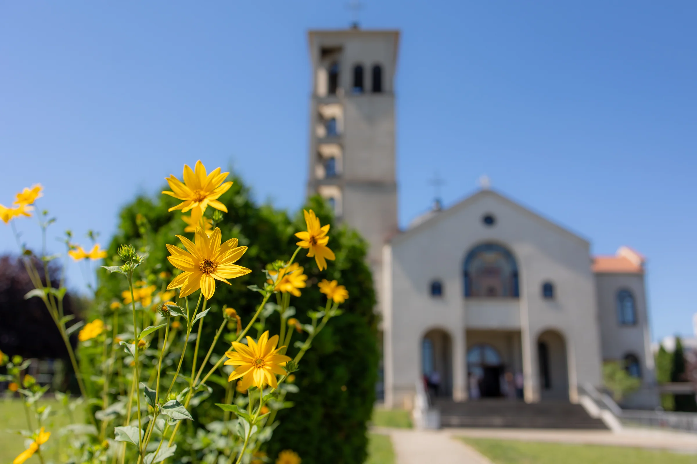 Botezul Mariei Elisabeta — botez maria elisabeta wonderland cluj biserica greco catolica margarete galbene fundal — fotograf botez