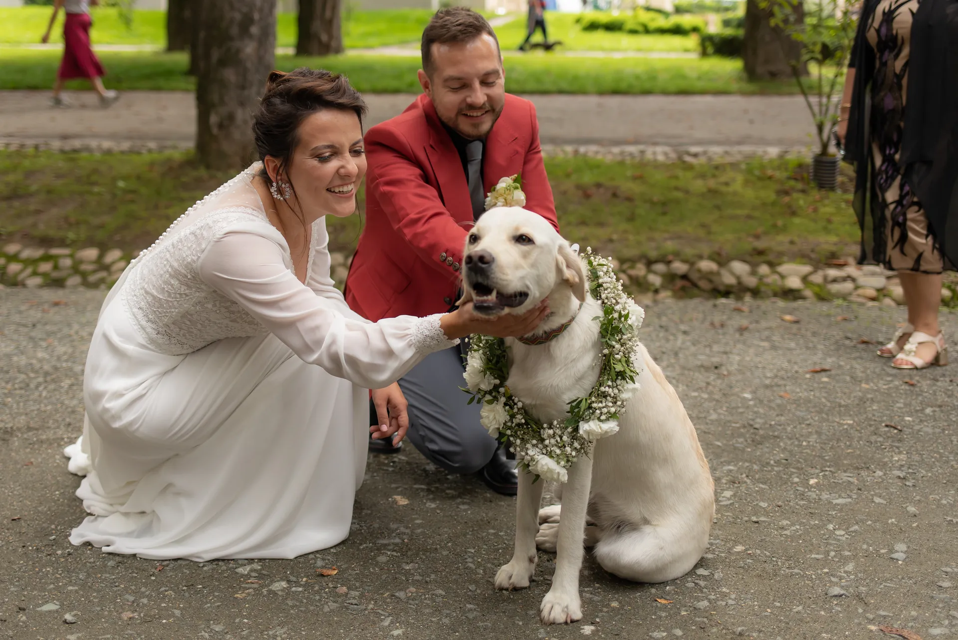 Mery & Gabriel — nunta da vinci cluj miri labrador coronita flori — fotograf nuntă
