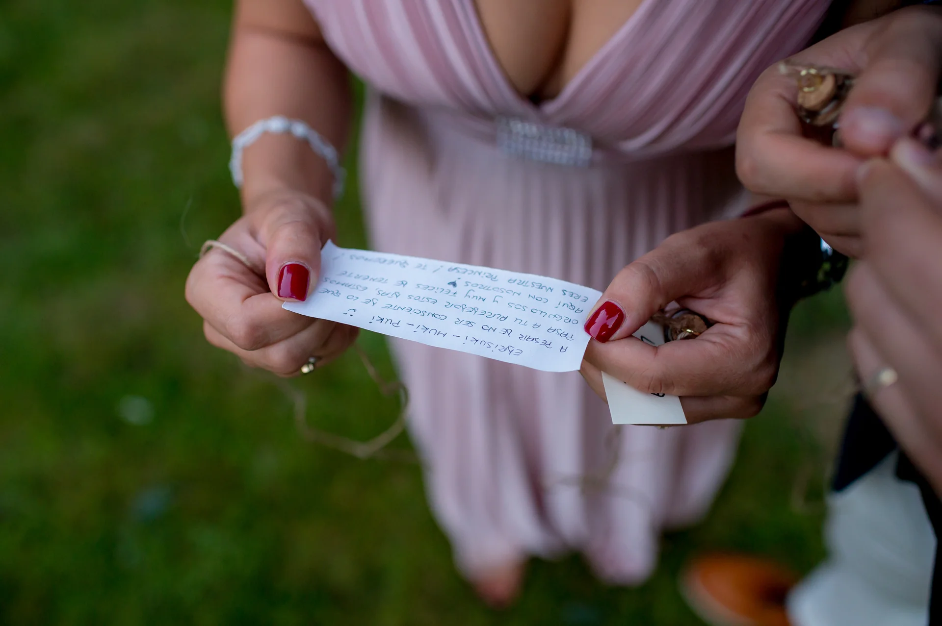 Raluca & Arnau — nunta hadar chalet apuseni miri intrare sala chalet lemn invitati aplauze — fotograf nuntă