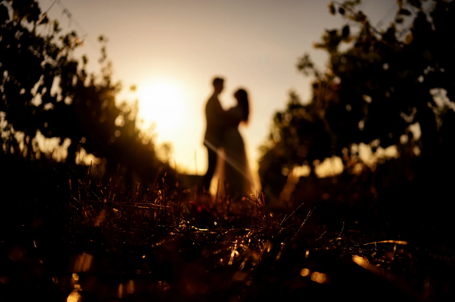 Roxana & Ionuț — nunta toscana italia roxana ionut cuplu portret lumina — fotograf nuntă