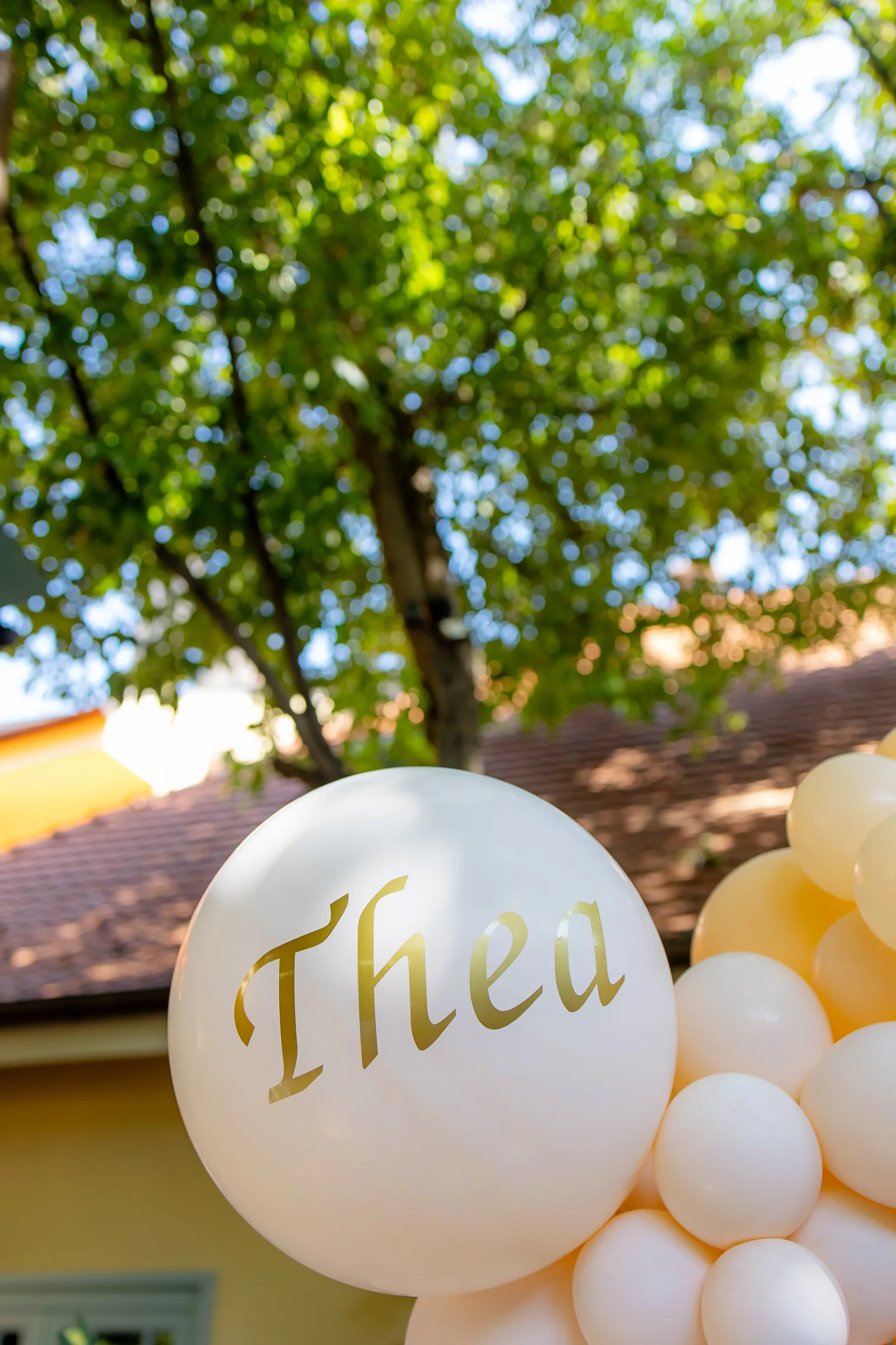 Botezul Theei — botez casa boema cluj thea arch baloane peach ursulet alb signature — fotograf botez