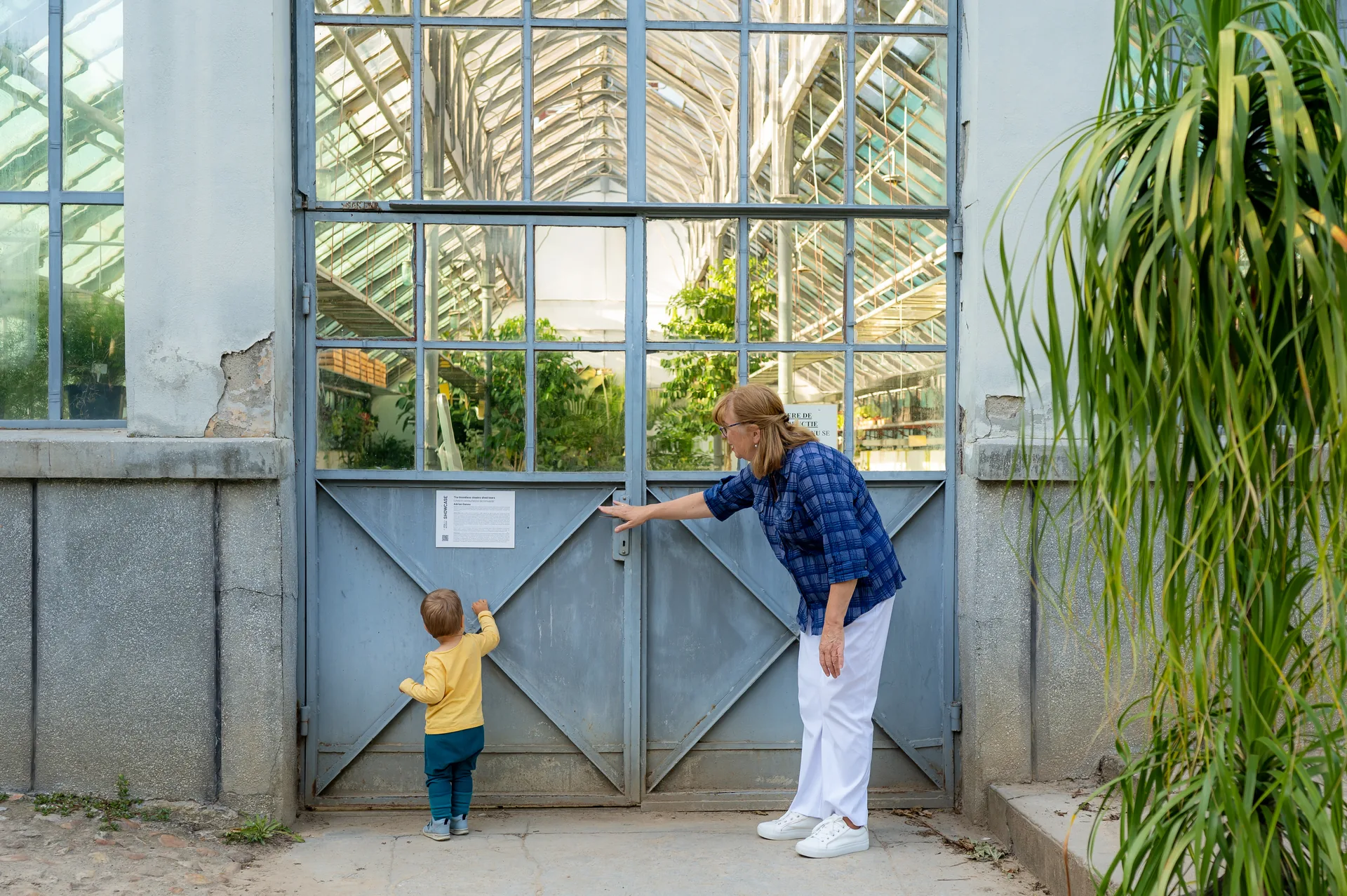 Vlăduț & bunica — familie vladut bunica cluj 11 — fotograf familie